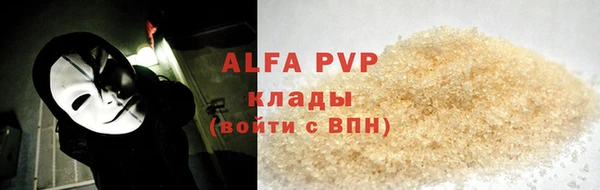 крисы Белокуриха