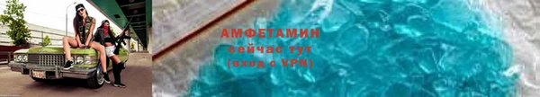 крисы Белокуриха