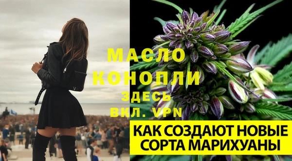 соль ск Белоозёрский