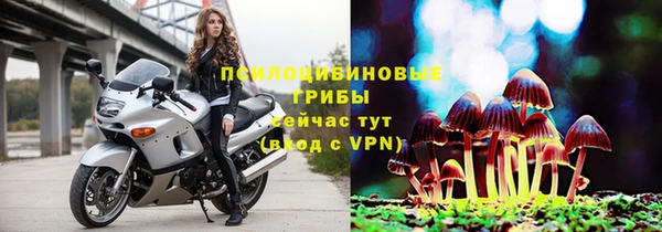 соль ск Белоозёрский