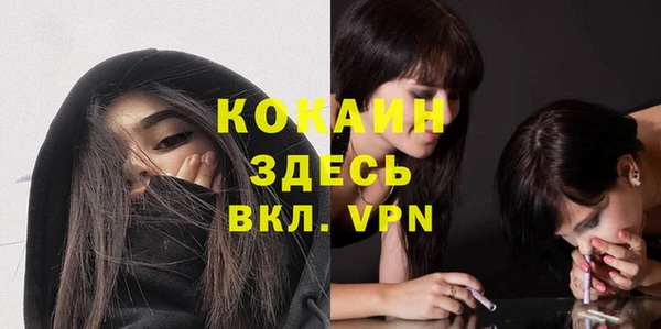 крисы Белокуриха