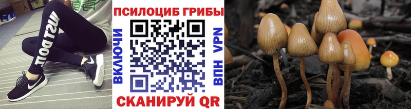 наркошоп  Юрьевец  Галлюциногенные грибы Cubensis 